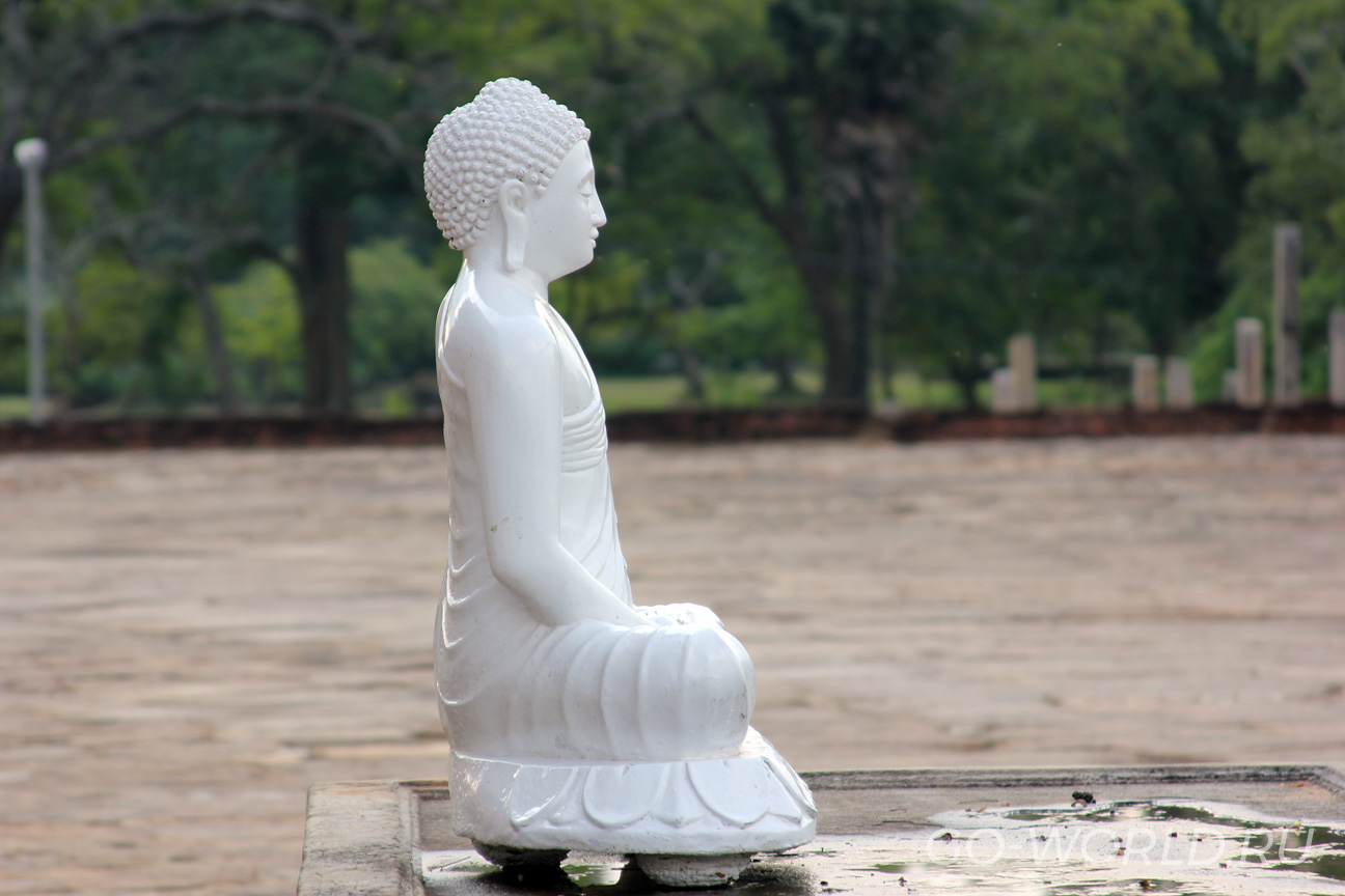 Самая красивая и гармоничная статуя Будды на Шри-Ланке.
