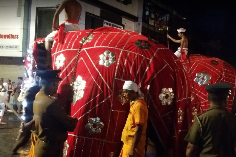 Слон на фестивале Эсала Перахера